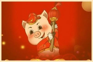 十二地支亥代表的生肖是什么(12地支亥)