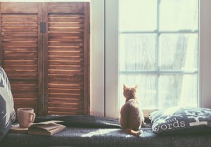 春天出生的属鼠人财运怎么样(春天出生的属鼠人财运怎么样呢)